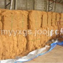 藁城市祥云日用品廠 專業(yè)生產椰棕不沾油鍋刷與豬鬃日用品