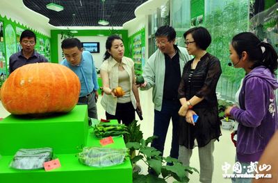 中國農副土特產品開發(fā)公司董事長在武山調研(圖)--天水在線