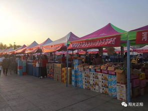 電商大集展銷特產(chǎn) 正陽農(nóng)副產(chǎn)品人氣旺