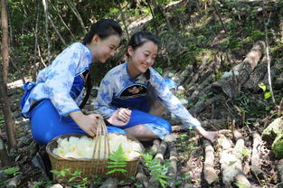 告別巴中,怎能不帶走這些土特產(chǎn)