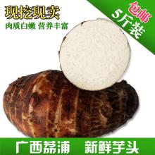 盛昌農(nóng)副特產(chǎn)購銷部