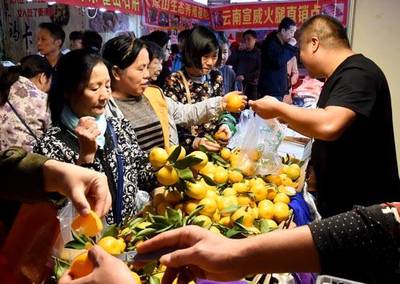 喜迎農(nóng)民豐收節(jié),百家農(nóng)產(chǎn)品、服裝服飾廠商齊聚卓刀泉古玩城