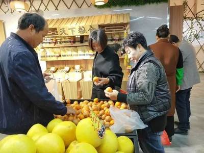 【喜訊】泰順鹿城山海協(xié)作農(nóng)特產(chǎn)品直銷中心開業(yè)