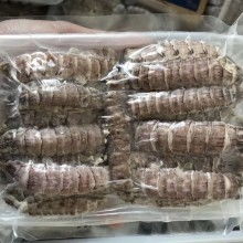  特鮮特產(chǎn)商行 主營 特產(chǎn) 海鮮