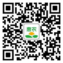 [香蔥香蔥 臘月蔥價格0.3斤