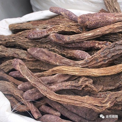 第八屆金塔胡楊文化旅游節旅游商品紀念品展評活動方案出爐,拿走不謝!