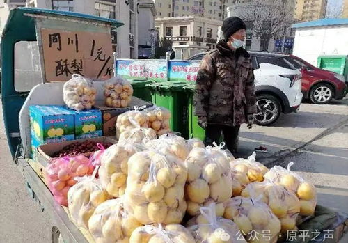 原平市農副土特產品年貨市場 唱主角